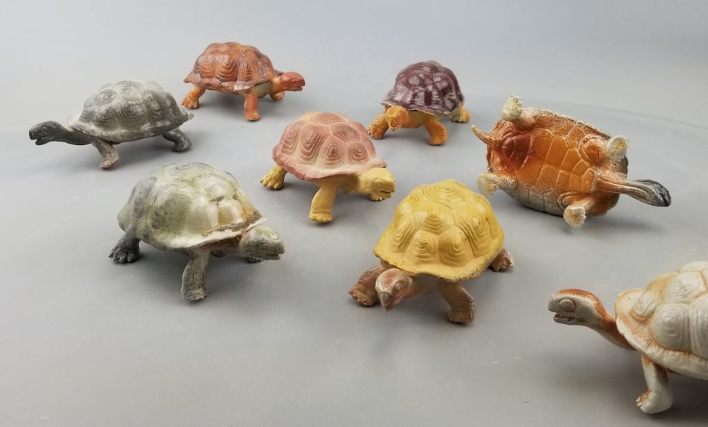 Turtle Party