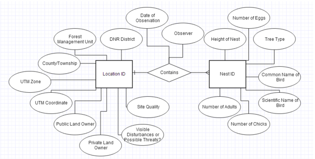 Conceptual Data Model of DNR’s Nest Records Form, 2014. Coursework for Geog5563. Made with Gliffy